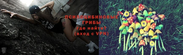 метадон Бородино