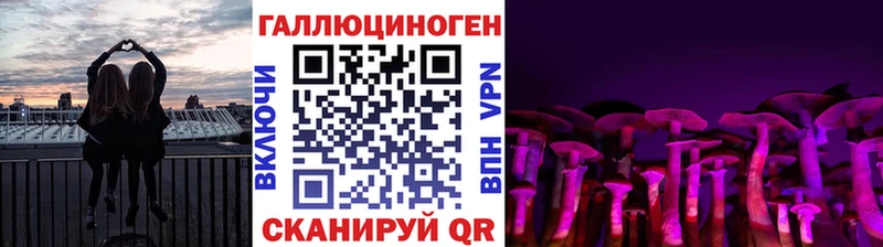 Псилоцибиновые грибы мицелий Вилюйск